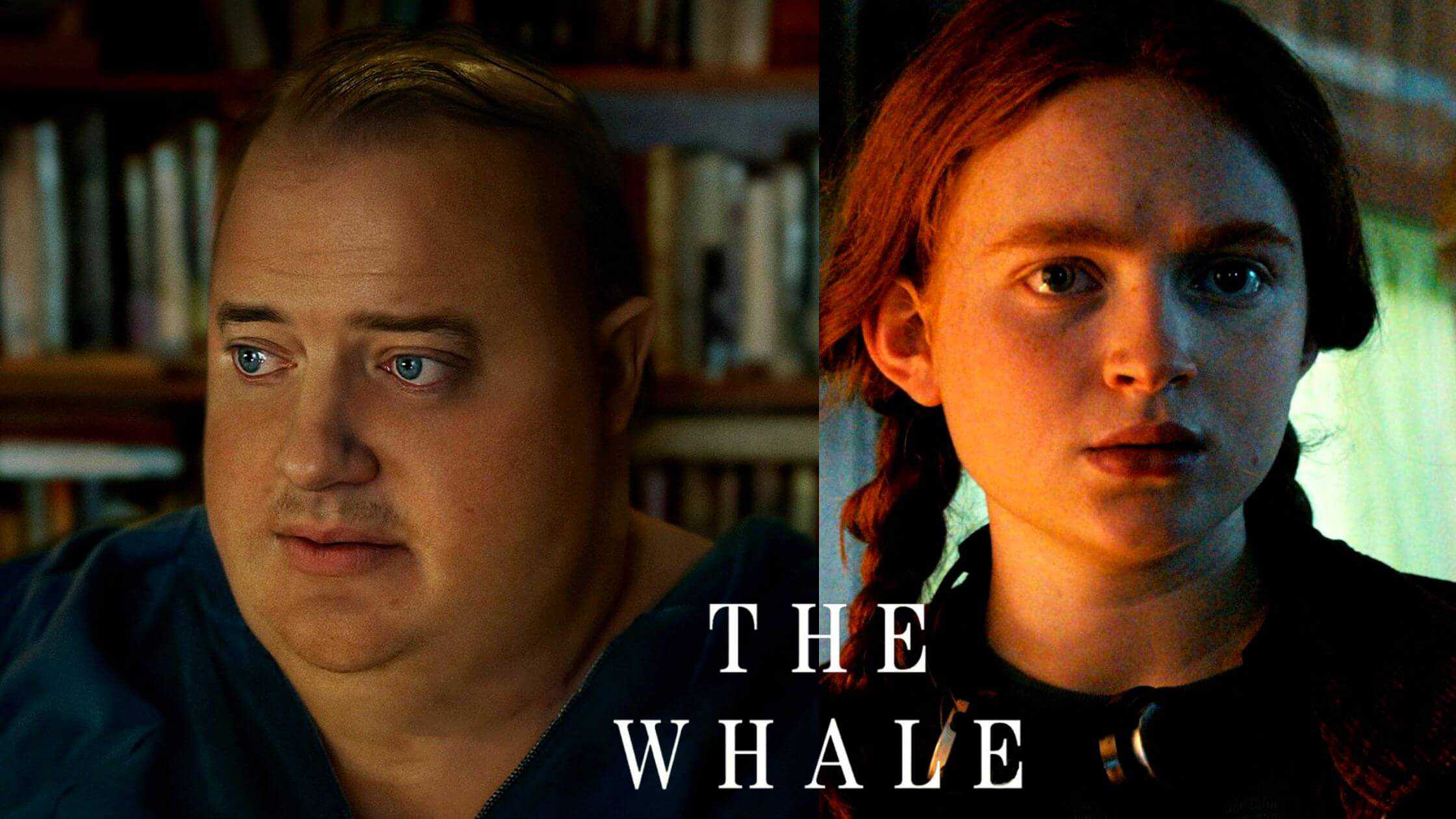 The-Whale-Movie-Review-Everything-You-Need-To-Know.jpg