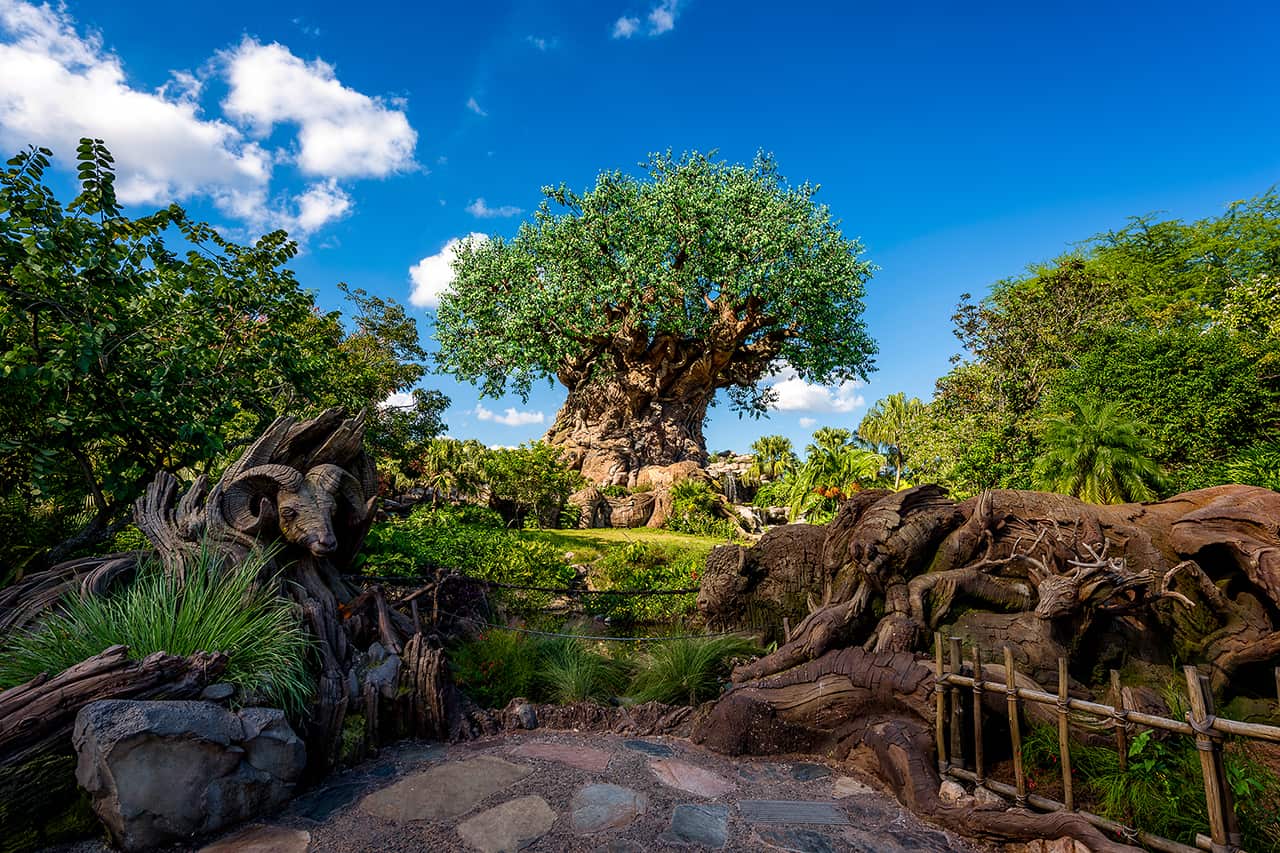 Tree-of-Life-Blue-Skies.jpg