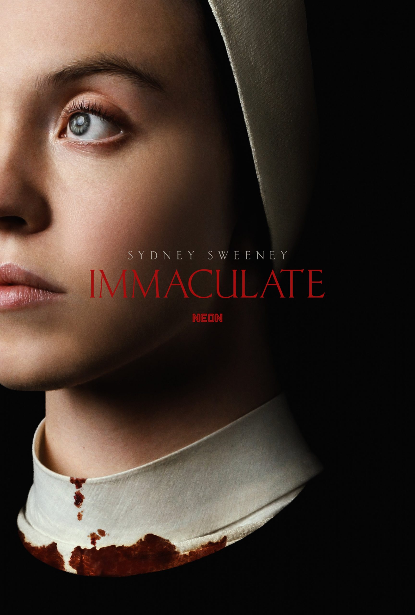 immaculate-poster-scaled.jpeg